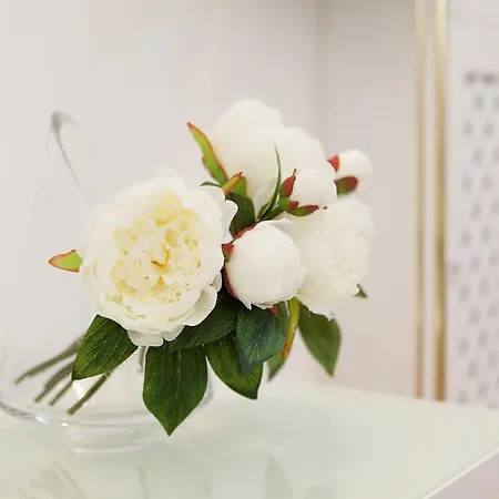 Apartmán Vienna-Flats Exteriér fotografie